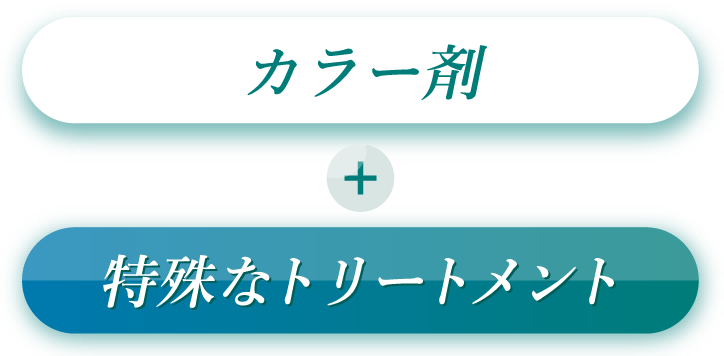 カラー剤 + 特殊なトリートメント