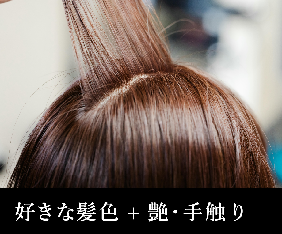 好きな髪色 + 艶・手触り